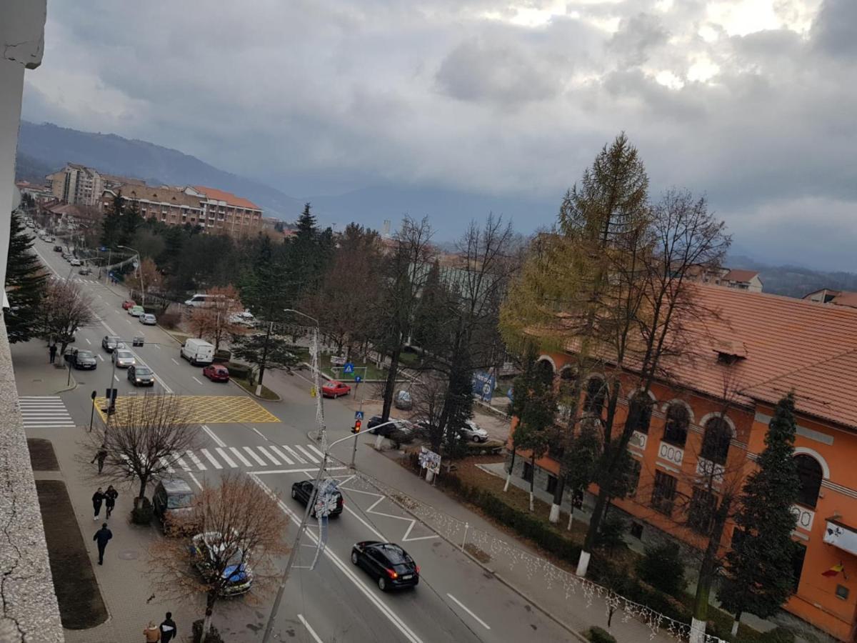 Garsoniera Mihaela Petroşani Exterior foto