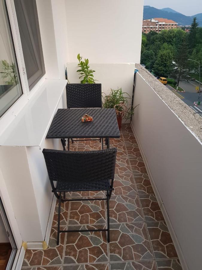 Garsoniera Mihaela Petroşani Exterior foto